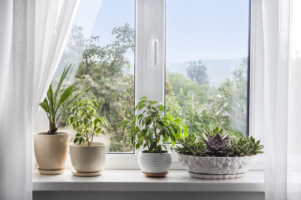 Window with white tulle and potted plants on windowsill. View of nature from the window
