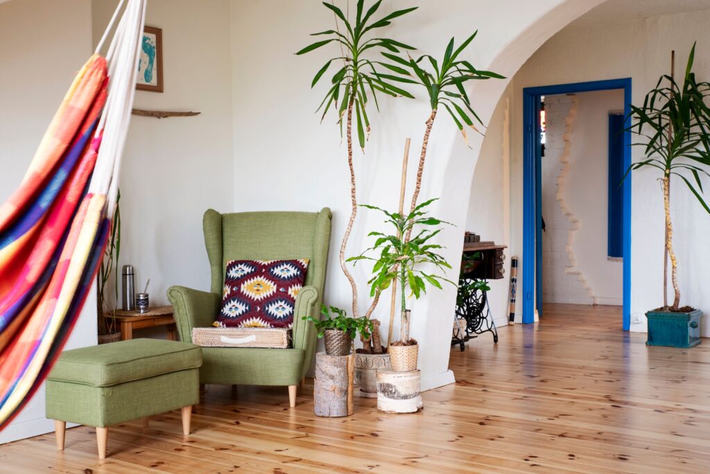 colourful living room with wooden floors and plants. 